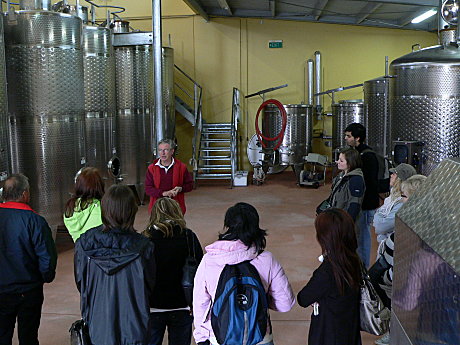 Behind the Scenes Wine Making Tour