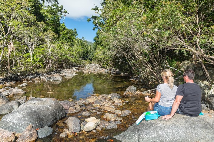 Rainforest Discovery package