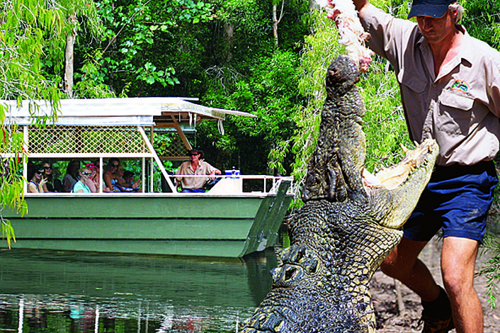 Boat Cruise in Hartley's Lagoon