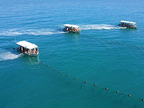 Cygnet Bay Pearl Farm