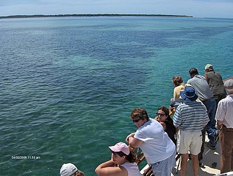 Beautiful clear waters of Moreton Bay