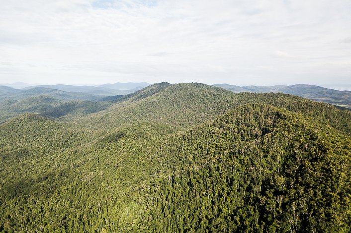 Discover the Conway National Park